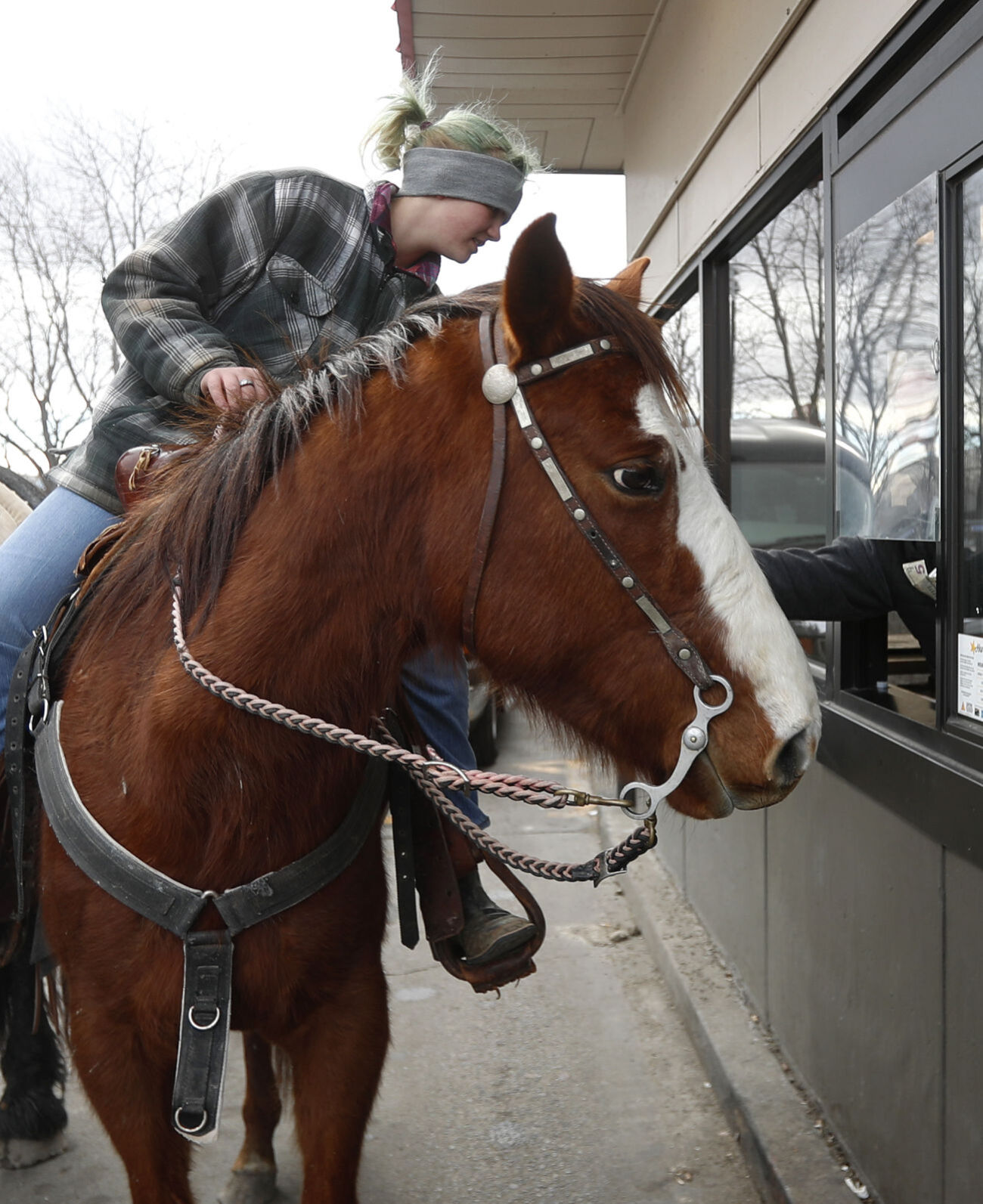 Hardee's horses